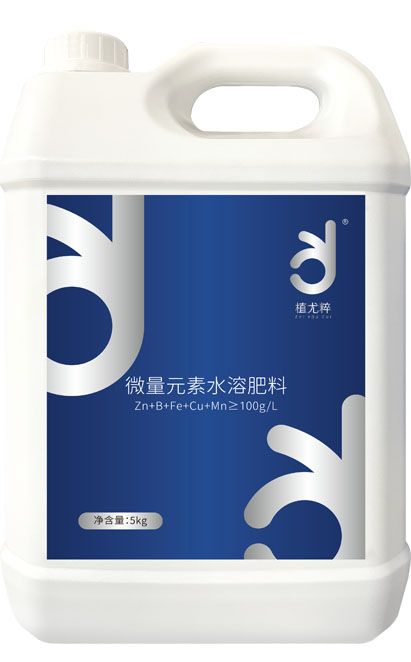 qmh球盟会