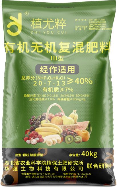 qmh球盟会