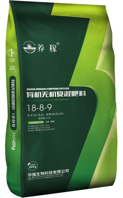 qmh球盟会