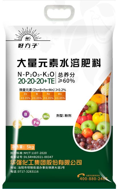 qmh球盟会