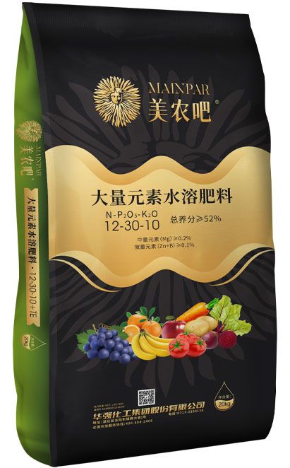 qmh球盟会