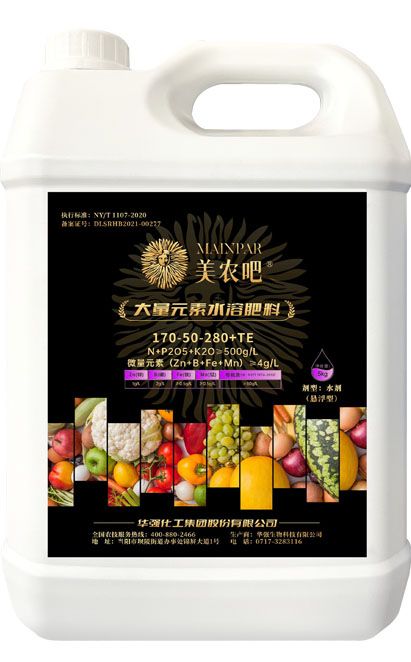 qmh球盟会