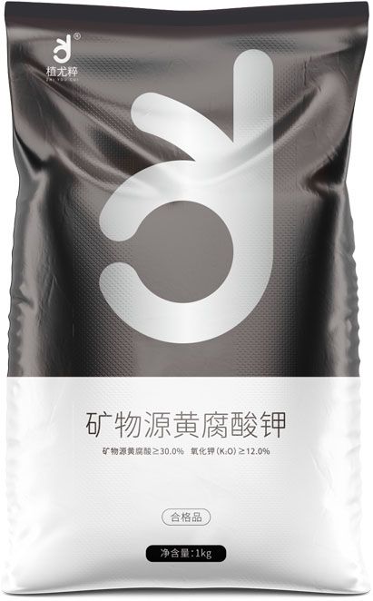 qmh球盟会