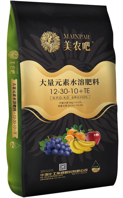 qmh球盟会