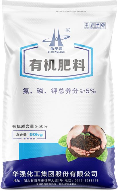 qmh球盟会