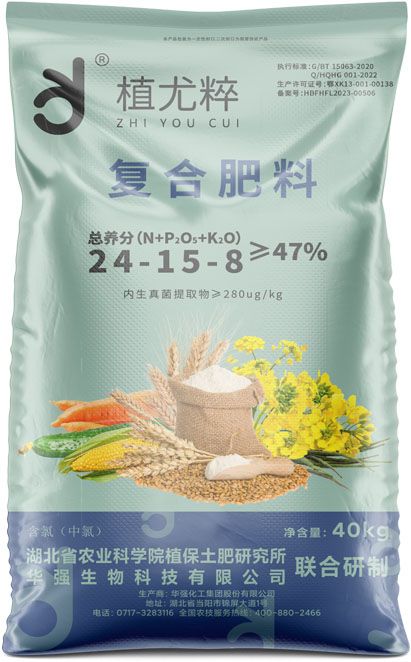 qmh球盟会