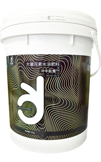 qmh球盟会