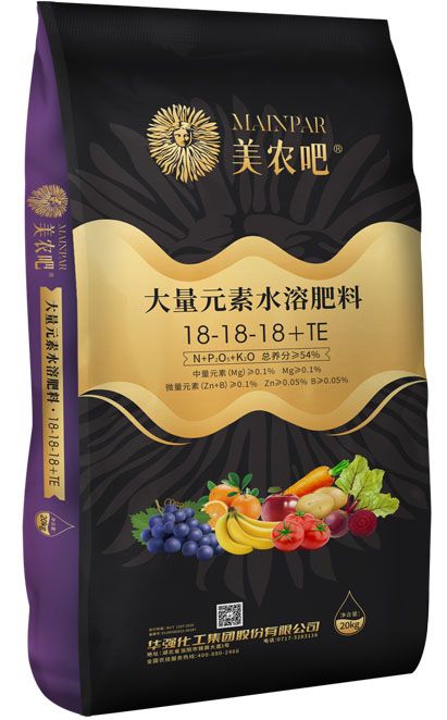 qmh球盟会
