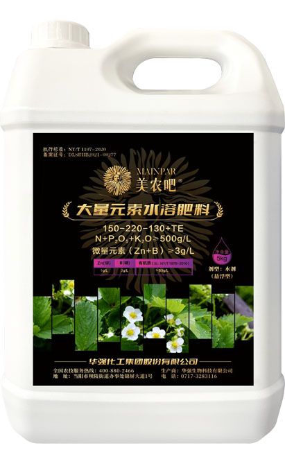 qmh球盟会