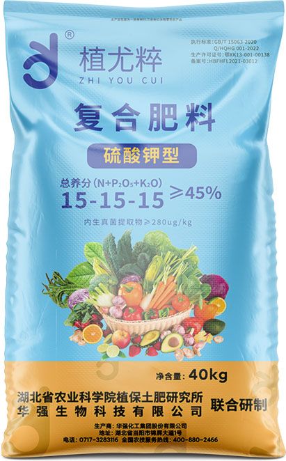 qmh球盟会