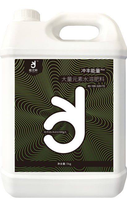 qmh球盟会