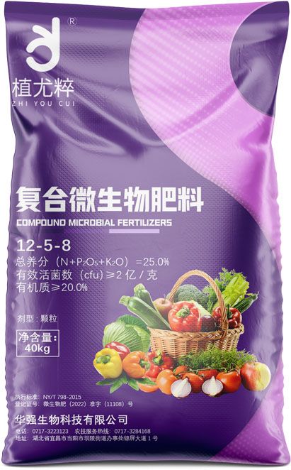 qmh球盟会