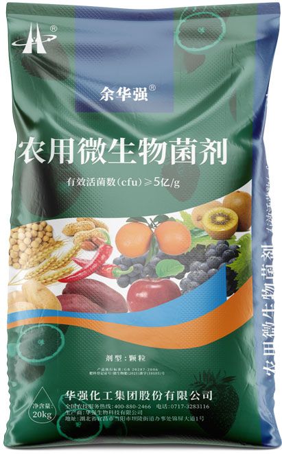 qmh球盟会