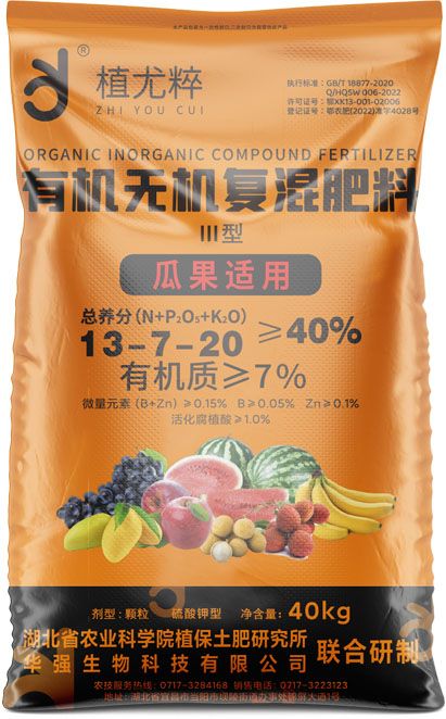 qmh球盟会