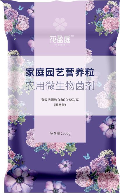 qmh球盟会