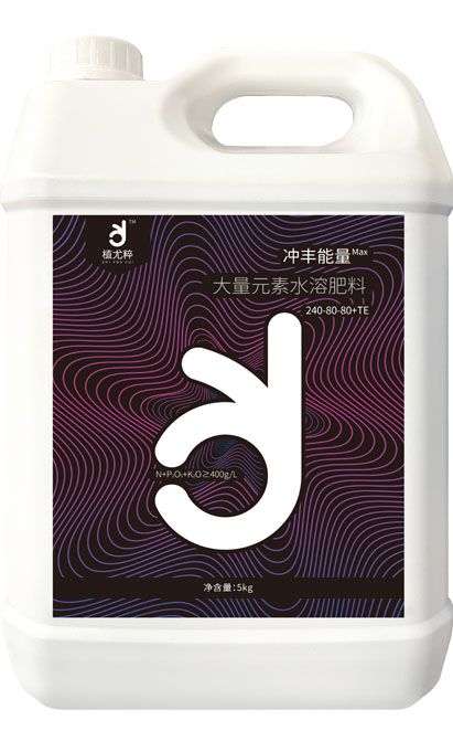 qmh球盟会