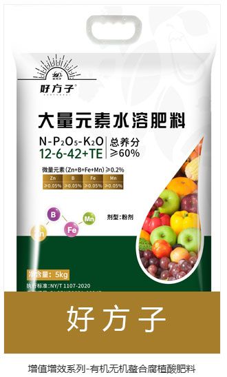 qmh球盟会