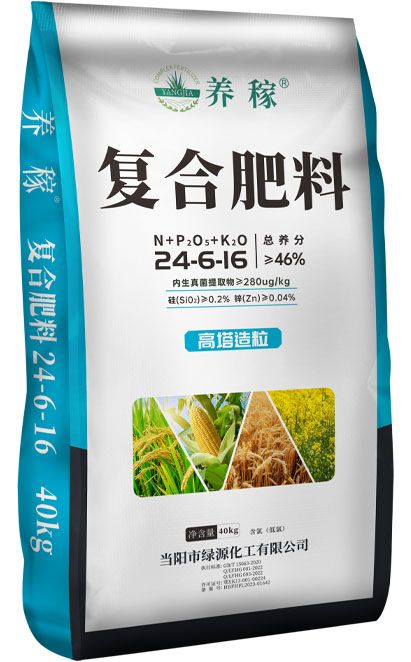 qmh球盟会
