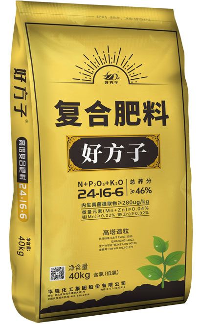 qmh球盟会