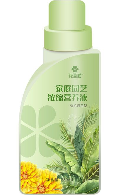 qmh球盟会