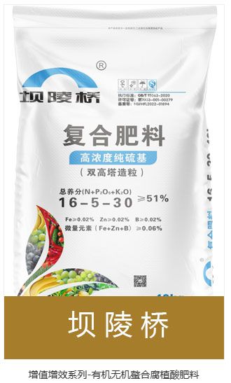 qmh球盟会