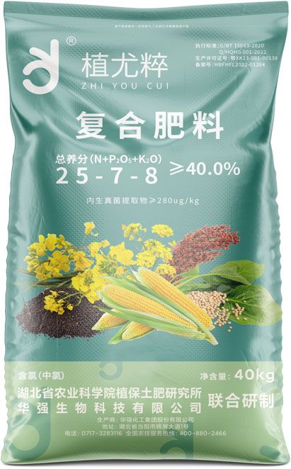 qmh球盟会