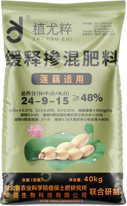 qmh球盟会