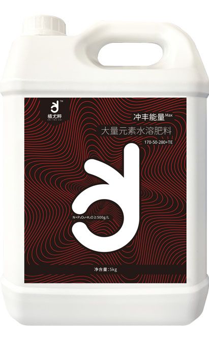 qmh球盟会
