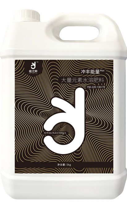 qmh球盟会