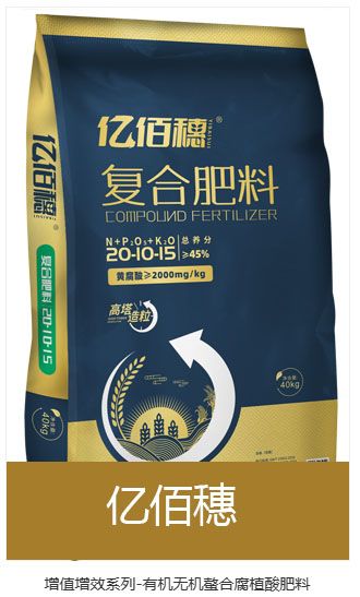 qmh球盟会