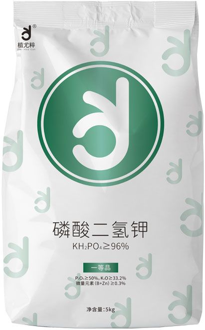 qmh球盟会