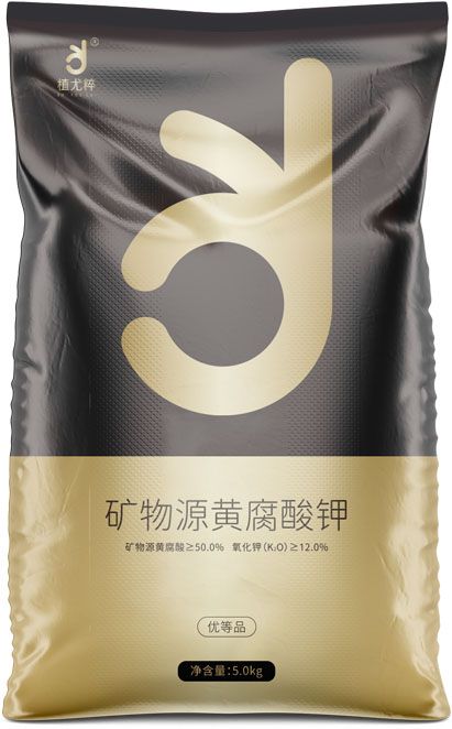 qmh球盟会