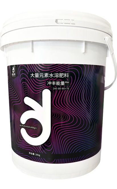 qmh球盟会