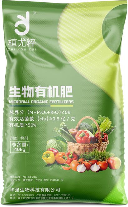 qmh球盟会