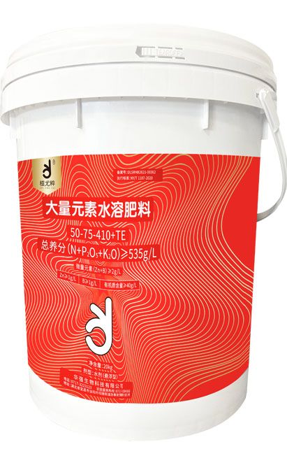 qmh球盟会