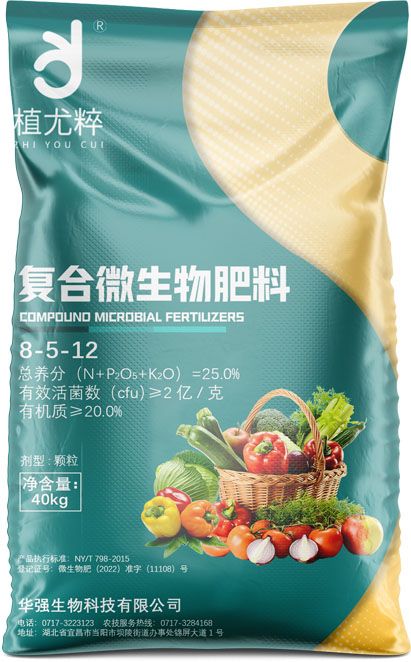 qmh球盟会