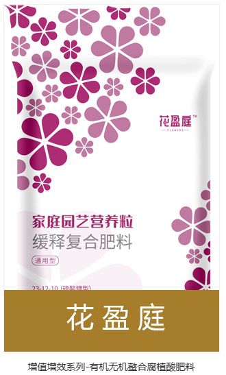 qmh球盟会