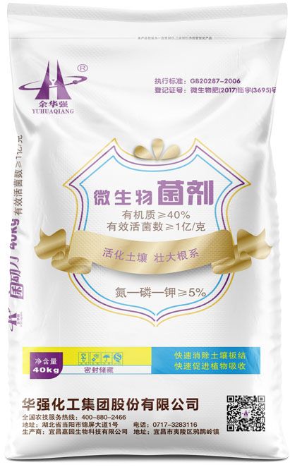qmh球盟会