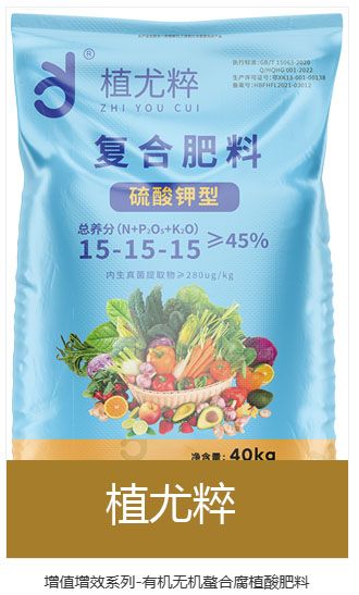 qmh球盟会