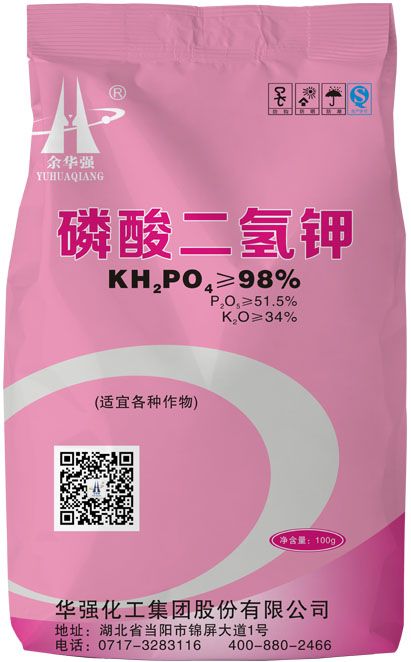 qmh球盟会