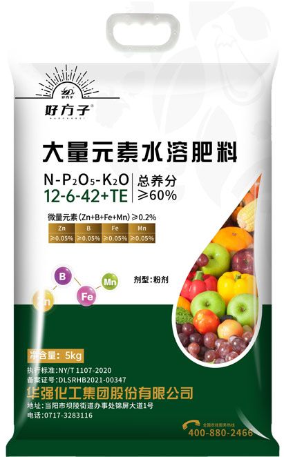 qmh球盟会