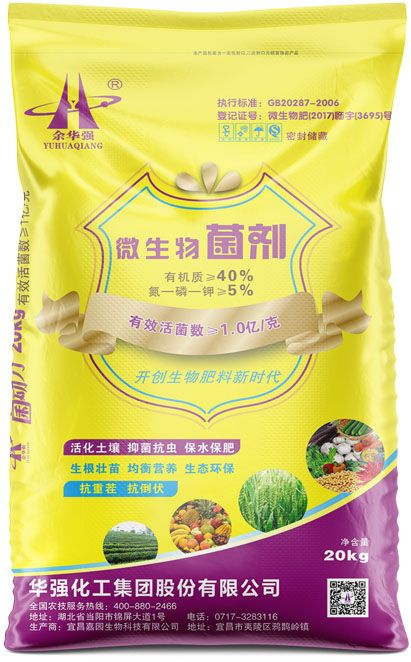 qmh球盟会