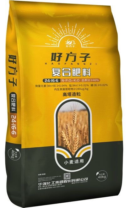 qmh球盟会