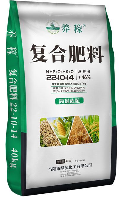 qmh球盟会