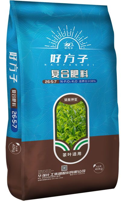 qmh球盟会