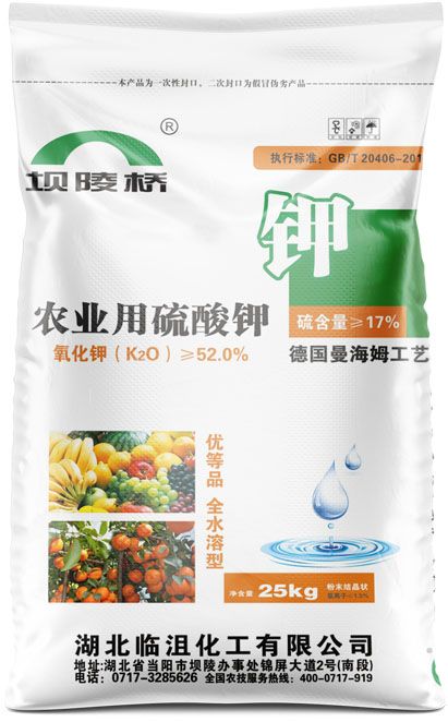 qmh球盟会