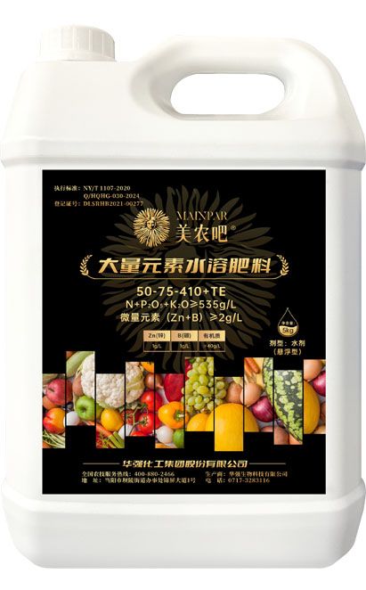 qmh球盟会