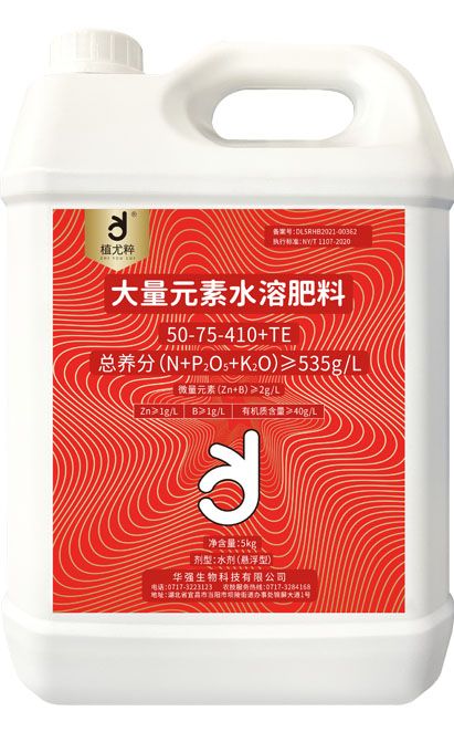 qmh球盟会