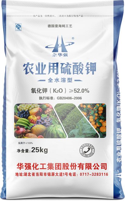 qmh球盟会