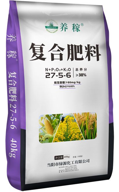 qmh球盟会